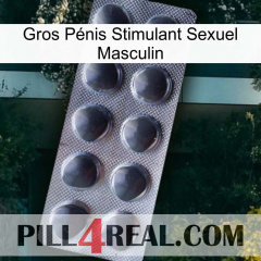 Gros Pénis Stimulant Sexuel Masculin 30